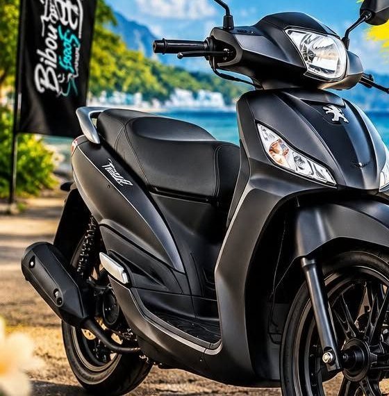 Un Peugeot Tweet noir garé face au lagon
